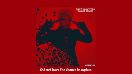 DON'T WANT YOU (DANCE REMIX) (Official Lyric Video)