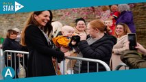 Kate Middleton : à la veille du couronnement, son clin d'oeil à 600 euros à Meghan Markle