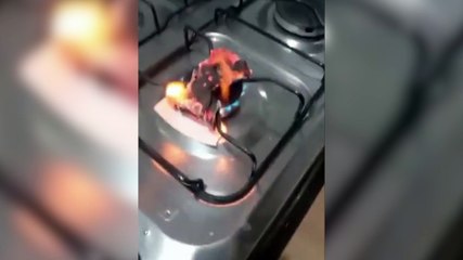 Ex-marido rebelde queima ingresso de mulher que dormiu em fila para ir a show do RBD: ‘Fiquei destruída’