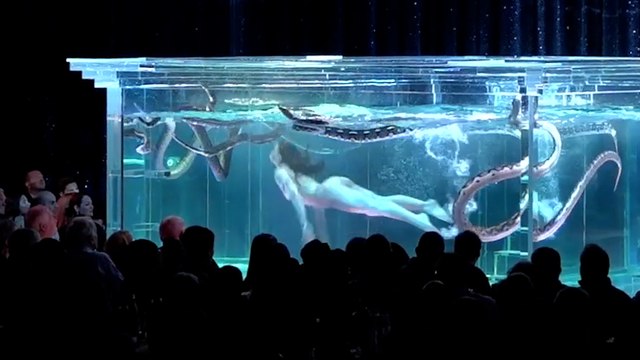 Bouche scotchée et anus obstrué, « Des pratiques cruelles » sur les serpents du Moulin Rouge