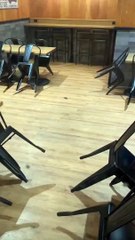 Toronto mouse was seen scurrying around a Farm Boy location in Toronto  #Toronto #FarmBoy