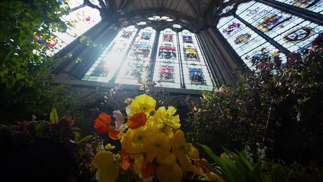 A behind the scenes look at the coronation flowers featuring British blooms