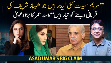 "Many leaders including Maryam are ready to sacrifice Shehbaz Sharif," Asad Umar