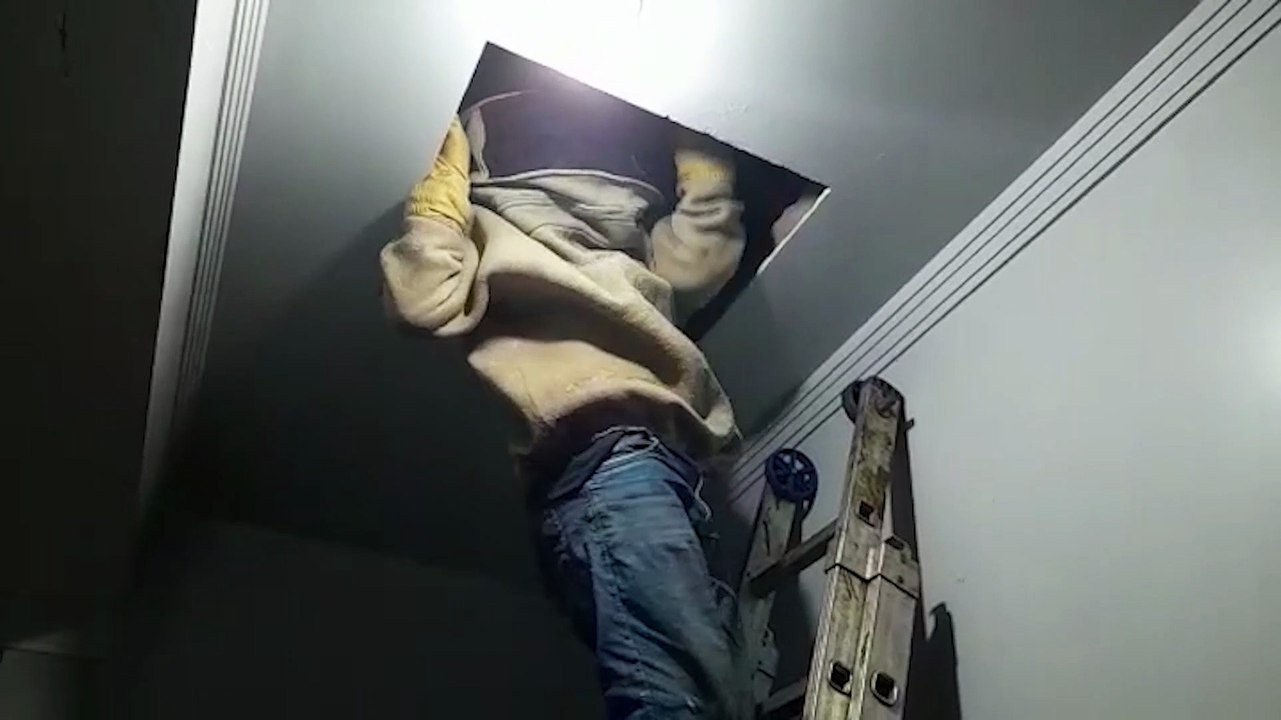 Enxame de abelhas é retirado pela Defesa Civil no Alto Alegre