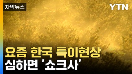 [자막뉴스] "예년보다 많이 발생"...나들이철 '비상' / YTN