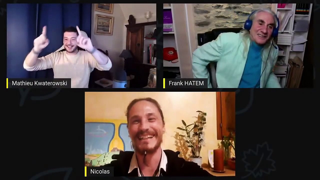 Implants. 1/2. Nicolas Raoul, Frank Hatem, Mathieu Kwaterowski, David Rousseau
