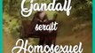 ️‍ Gandalf est gay