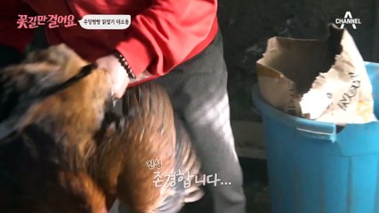 우당탕탕 닭잡기 대소동♨ 무서워하는 창훈이 답답한 꽃길 주인공!