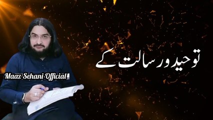 Anwar E Nabuwat Ki Tasveer Sahaba Hen New Status Mufti Said Arshad Al Hussaini