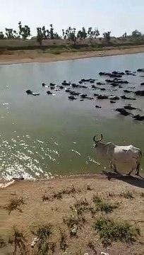 video...ऐसी सोच से बदल सकती है हर गांव की तस्वीर