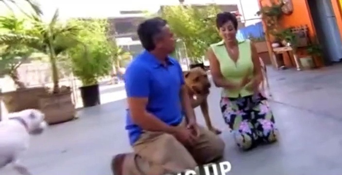 Dog Whisperer S02 E19