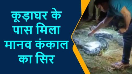 प्रतापगढ़: मानव कंकाल का सिर मिलने से इलाके में सनसनी, जांच में जुटी पुलिस