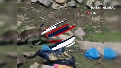 Cep telefonuna yansıdı... Davetsiz misafir aç tilki,  piknikçilerin yemeğini yedi