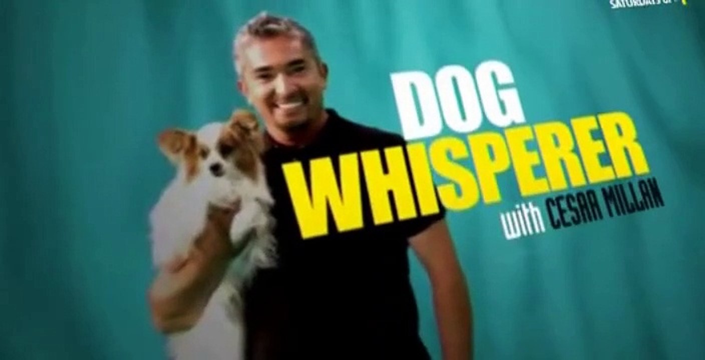 Dog Whisperer S08 E01