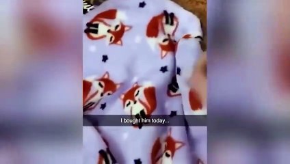 Best Funny Dogs And Cats Videos -- Funniest Animals Videos 2023-- _57(480P)