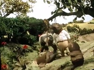 The Wind in the Willows The Wind in the Willows E024 – Gadget Mad