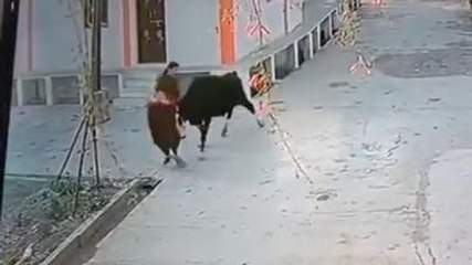 मंदसौर: आवारा सांड ने बुजुर्ग महिला पर किया हमला, CCTV वीडियो भी आया सामने