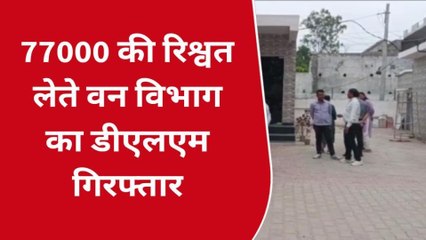 मेरठ: योगी ने दिखाई &#039;हरी झंडी&#039;, तो घूस लेते गिरफ्तार हुआ वन विभाग का बड़ा अधिकारी