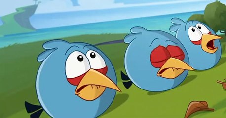 Angry Birds Angry Birds S02 E004 Hide and Seek