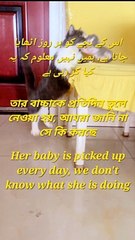 Her baby is picked up every day, we don't know what she is doing