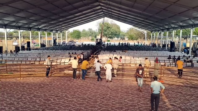 मुख्यमंत्री अशोक गहलोत आएंगे गीजगढ़, दौरे को लेकर तैयारियां युद्ध स्तर पर जारी