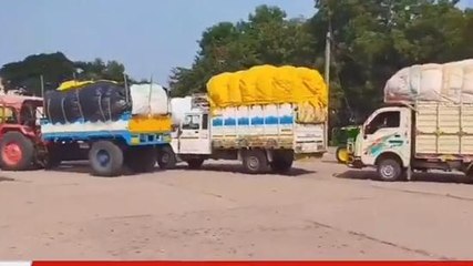 ఆదిలాబాద్: పత్తి ధరలో మార్పులు.. స్వల్పంగా పెరుగుదల