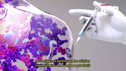¿Cómo funcionan las vacunas de subunidades? - #ExclusivoMSP