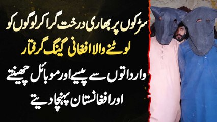 Road Pe Logo Ko Lootne Wala Afghani Gang - Paise Or Mobile Cheente Or Afghanistan Pahuncha Dete