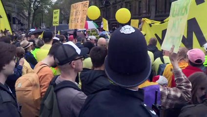 "Nicht mein König": Monarchiegegner demonstrieren in London