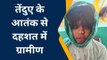 बलरामपुर: आदमखोर तेंदुए ने बच्चे पर किया जानलेवा हमला, मचा हड़कंप