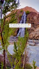 Wo wakif hai Mera Dil ke haal se❤‍ Usne Phirbhi nh pucha kya baat hai