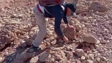 A new Adventure with SNAKE HUNTER __ Hunting scorpions for filming
