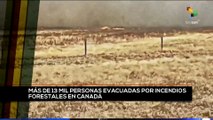 teleSUR Noticias 17:30 06-05: Miles de canadienses evacuados por incendios forestales