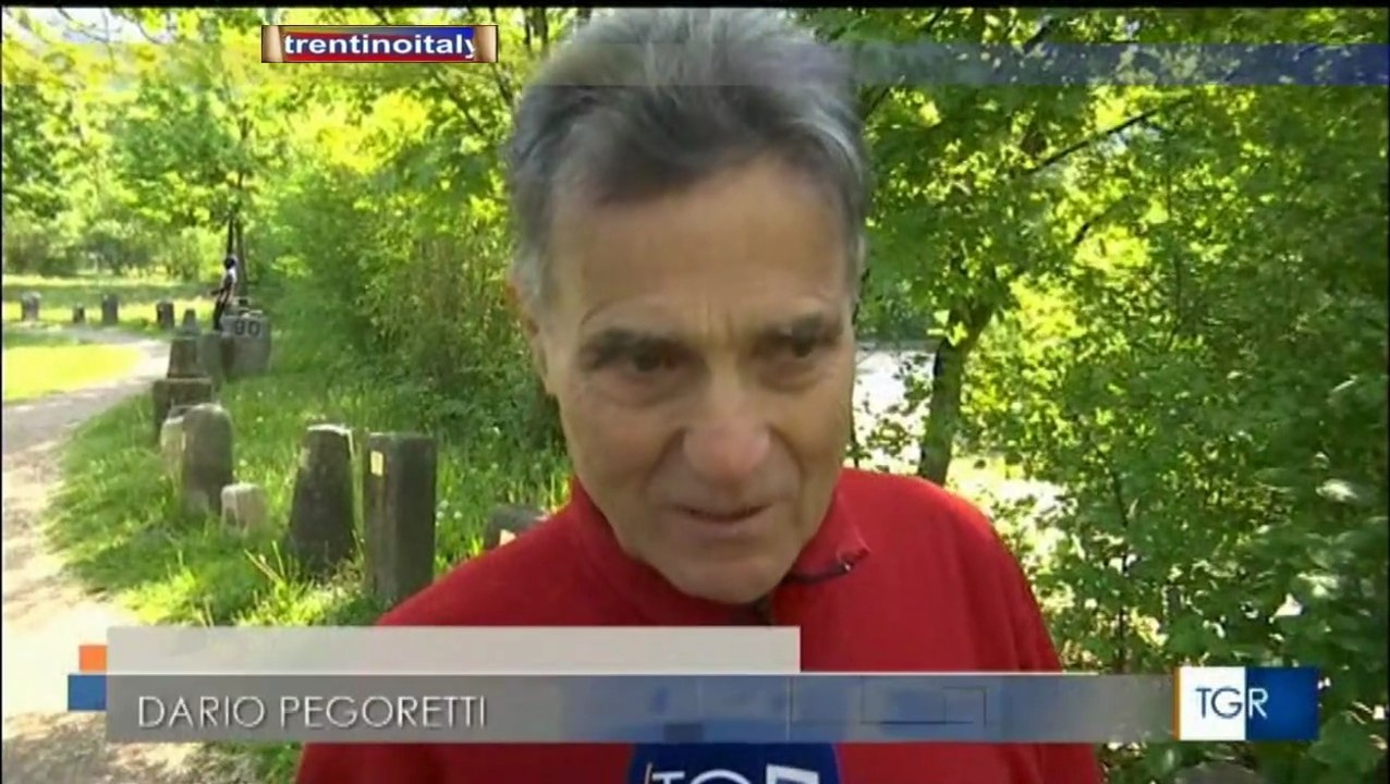 il museo del paracarro di dario pegoretti