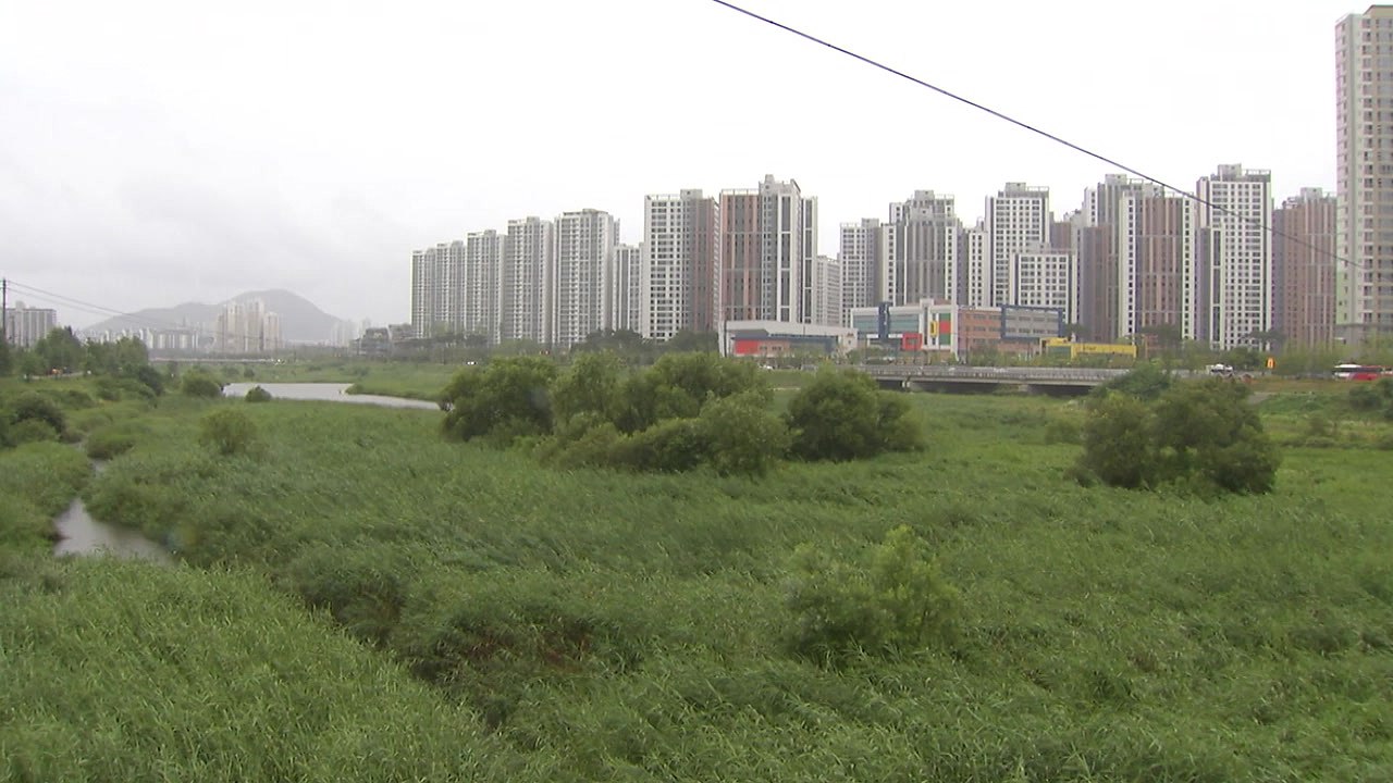 [날씨] 오늘도 곳곳 약한 비...바람 불어 낮에도 선선해요! / YTN
