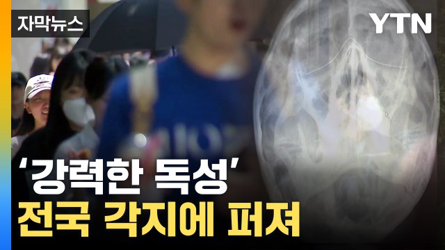 [자막뉴스] 황사 아니었다...독성 강한 '가루' 전국에 확산 / YTN