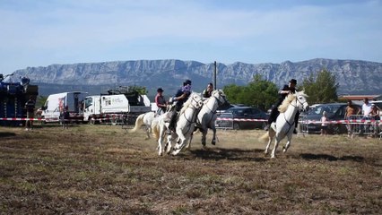 Spectacle camarguais à la fête de l'agriculture de TRETS 6MAI2023