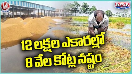 Huge Crop Damage Due To Heavy Rains _ V6 Teenmaar