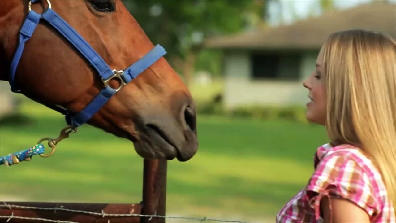 C'est Pourquoi Le Cheval s'est Vengé du Crocodile, Les 4 Batailles les Plus Féroces !!