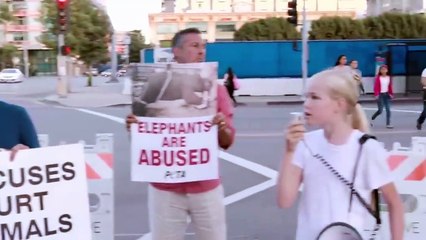 ACHANDO SEU PROPÓSITO NA VIDA (USE PARA 2022)