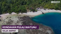 Bikin Betah, Pesona Pantai Pasir Putih Pulau Waitunu di Raja Ampat