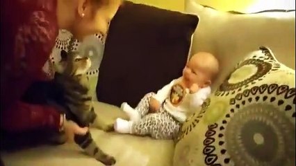 Short video cutes babie and funny cats\sa jokes funny video
