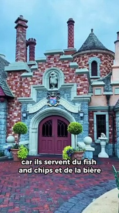 T’AS LA REF ? Disneyland #3