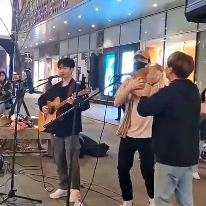 Cat singing funny clip