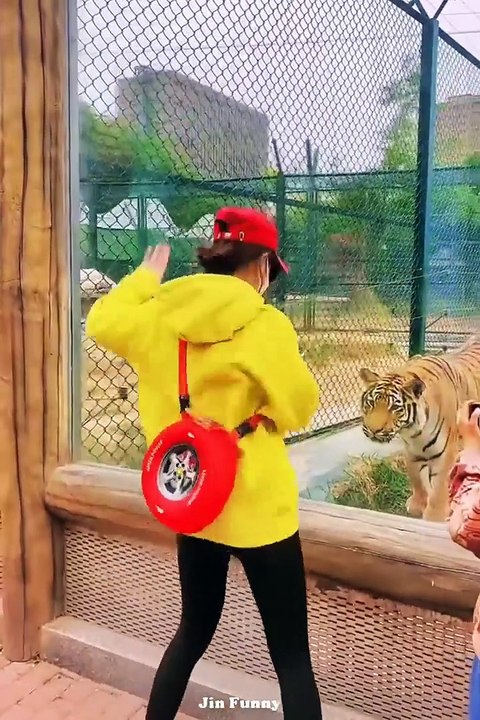 AWW NEW FUNNY  Funny Videos #295