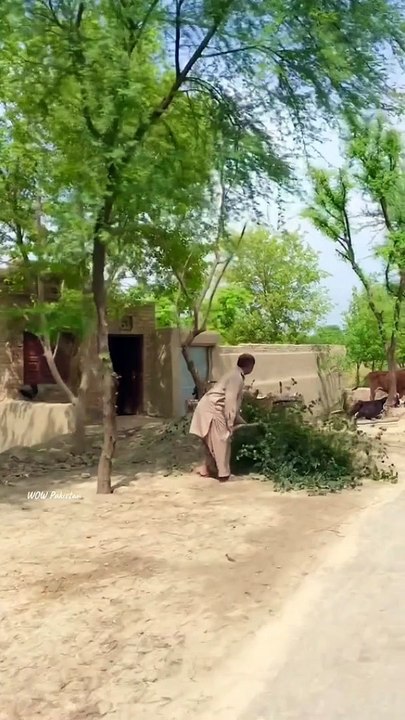village life