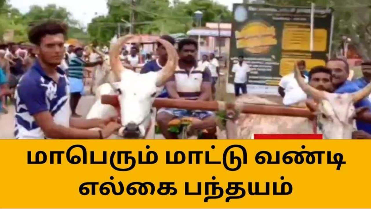 தூத்துக்குடி:களை கட்டிய மாட்டு வண்டி பந்தயம்!