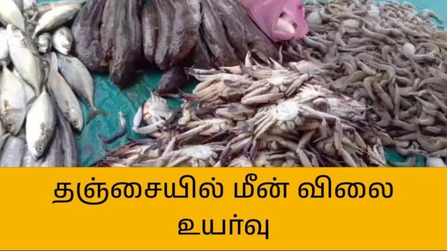 தஞ்சாவூர்: மீன் விலை உயர என்ன காரணம்..?