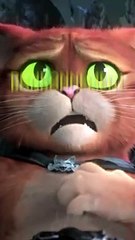 Stop aux idées reçues #3 (édition spéciale chats)