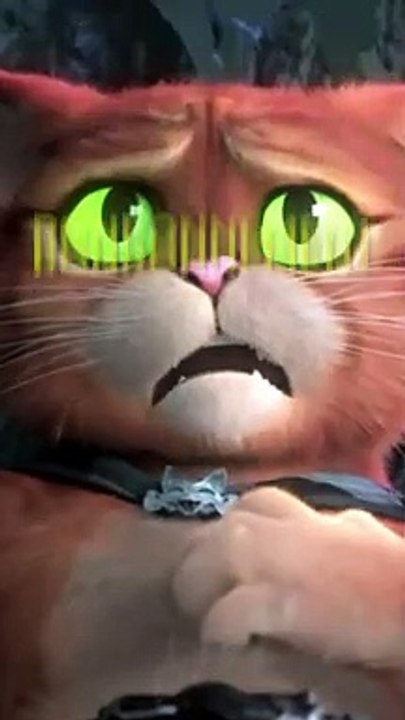 Stop aux idées reçues #3 (édition spéciale chats)